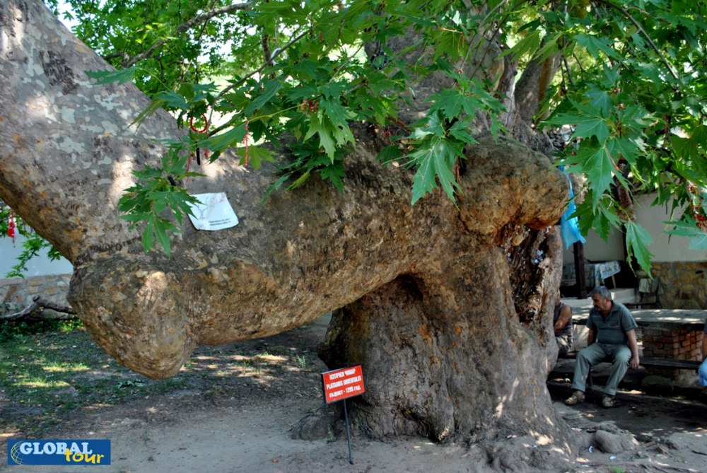 Екскурзия до Мелник, Роженски манастир и с. Златолист (Преподобна Стойна)