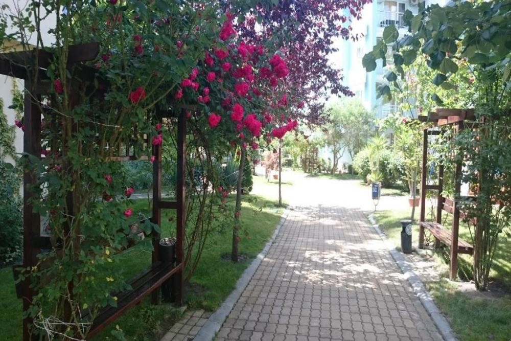 ЯСЕН