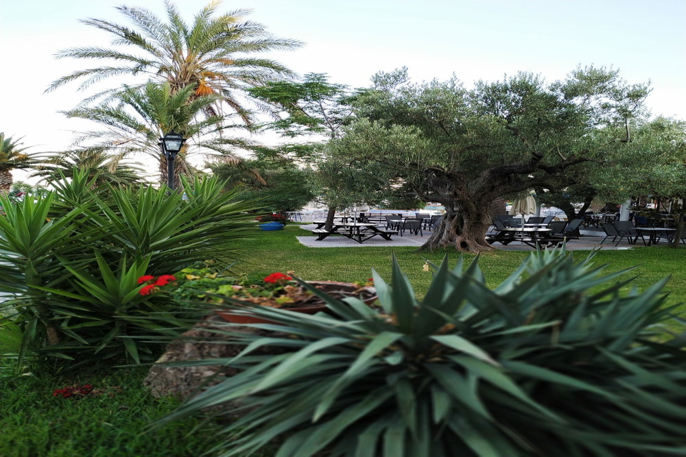 MENDI HOTEL