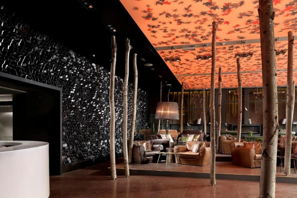 RADISSON BLU PARK HOTEL 