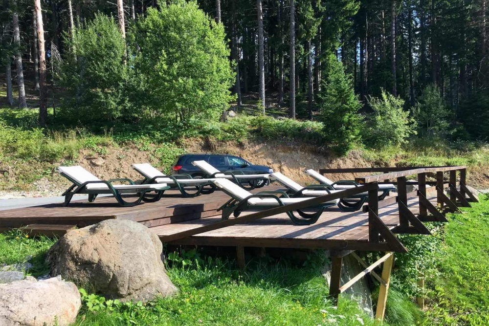 ФОРЕСТ ГЛЕЙД