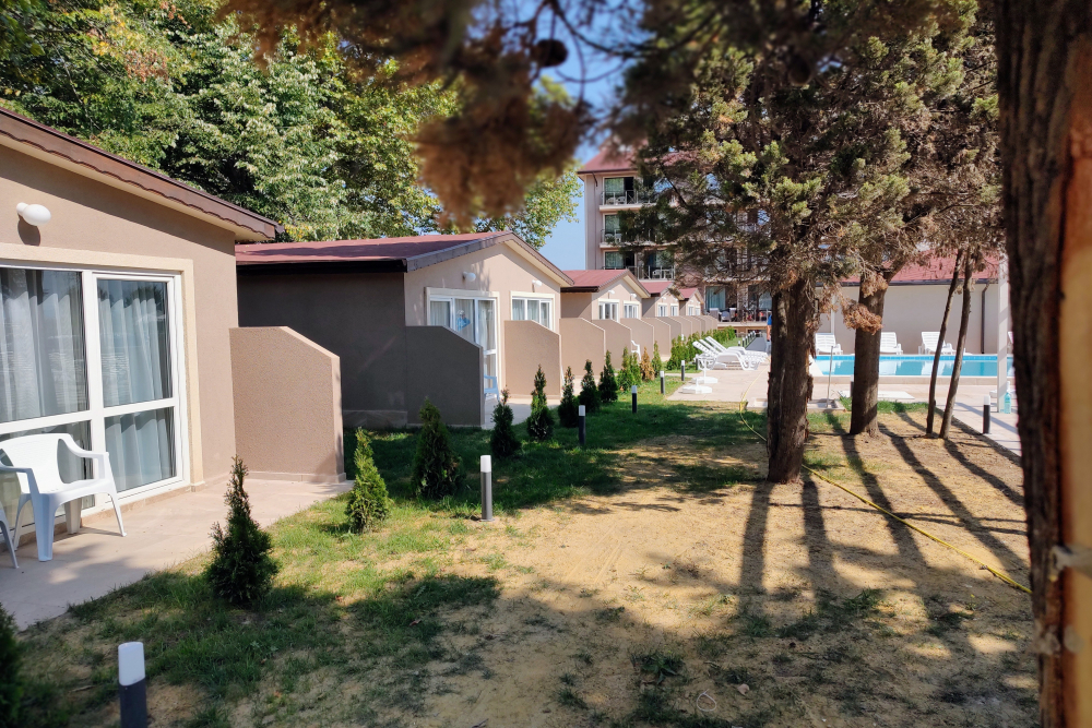 СПЕРАНТА ВИЛИ 