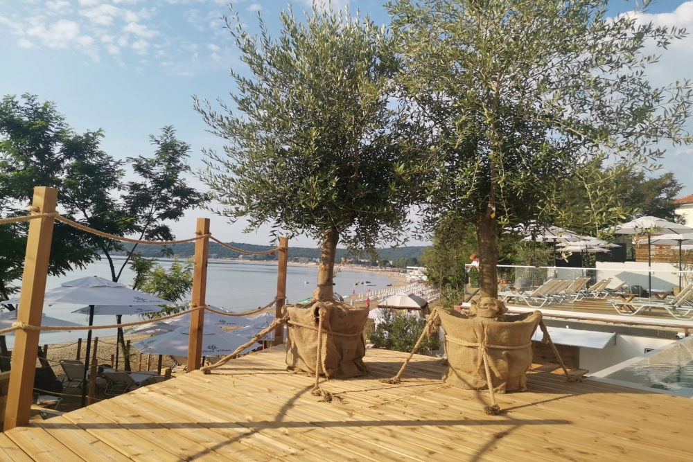 OLIVE VILLAS