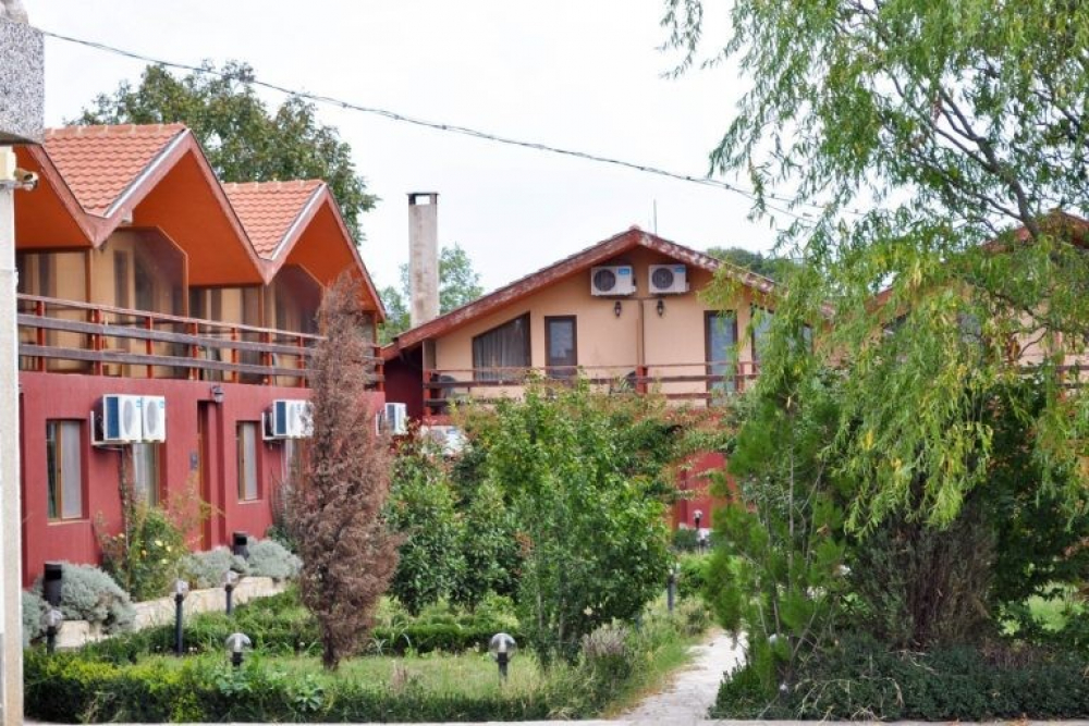 ДИВАТА ПАТИЦА