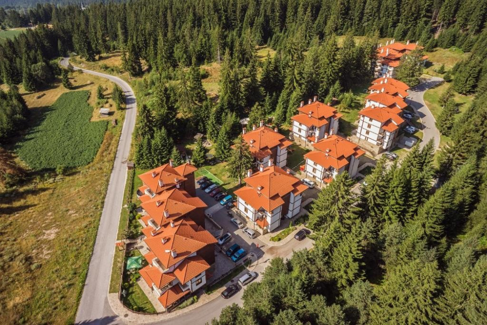 КИПАРИС