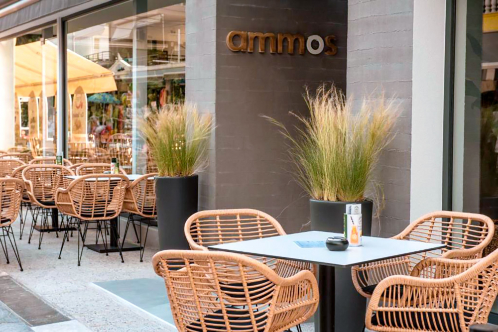 AMMOS BEACH SEASIDE LUXURY SUITES