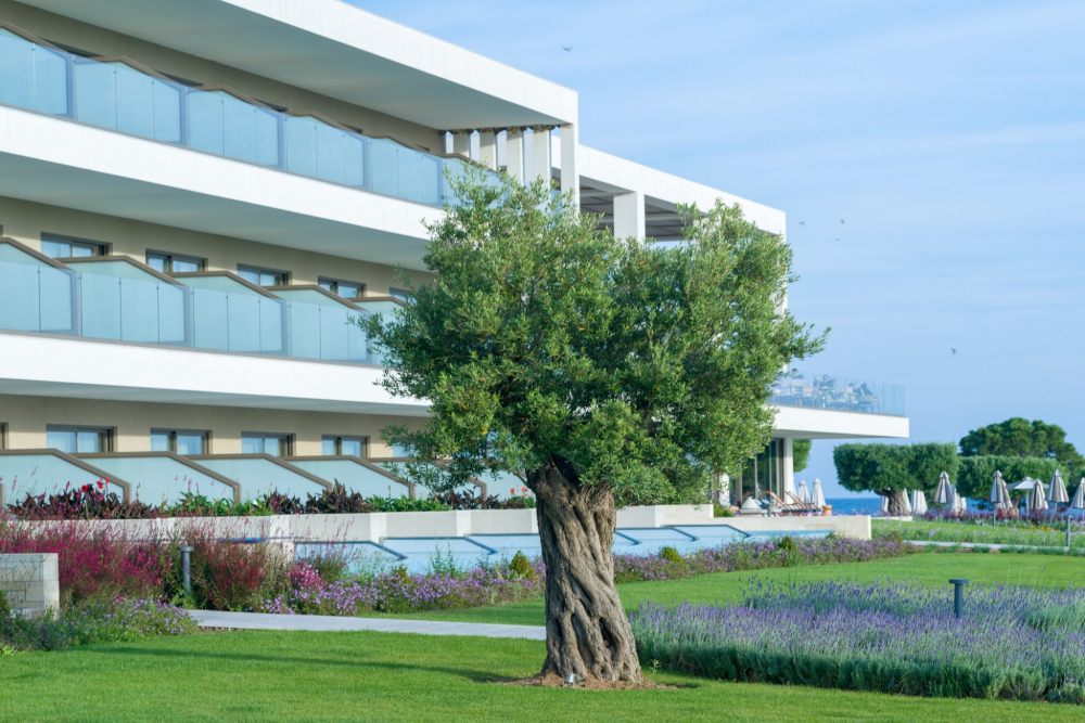 AMMOA LUXURY HOTEL AND SPA RESORT