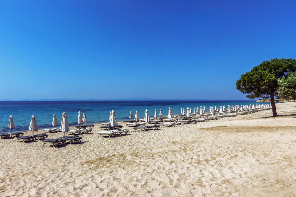 AMMOA LUXURY HOTEL AND SPA RESORT