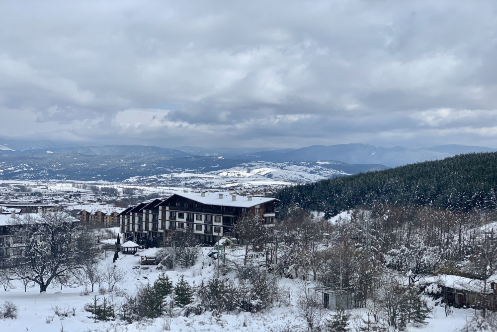 СЕЙНТ ДЖОРДЖ ПАЛАС