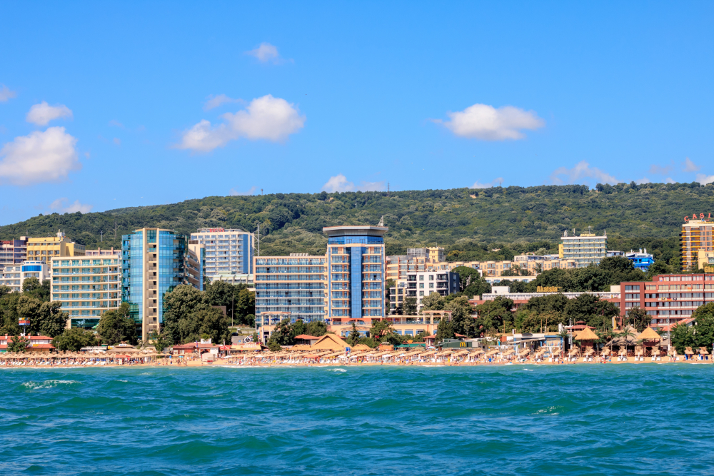 АСТЕРА