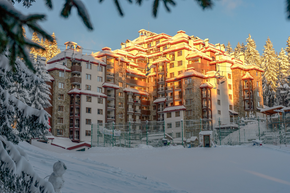 КОМПЛЕКС КАМЕЛИЯ