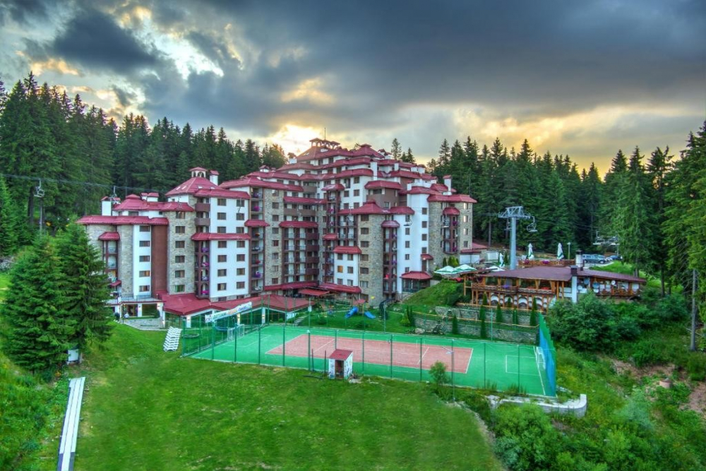КОМПЛЕКС КАМЕЛИЯ