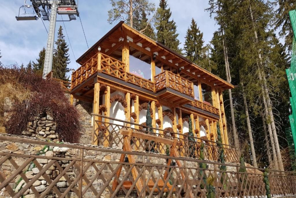 КОМПЛЕКС КАМЕЛИЯ